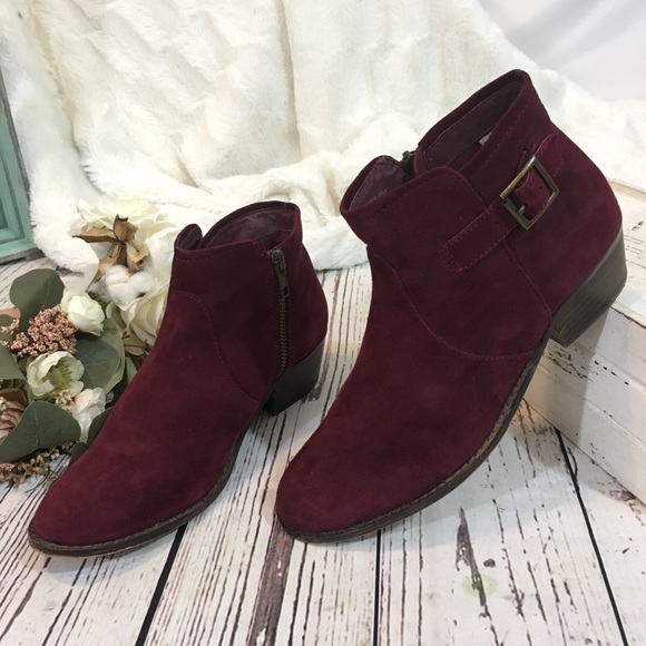 steve madden maroon booties